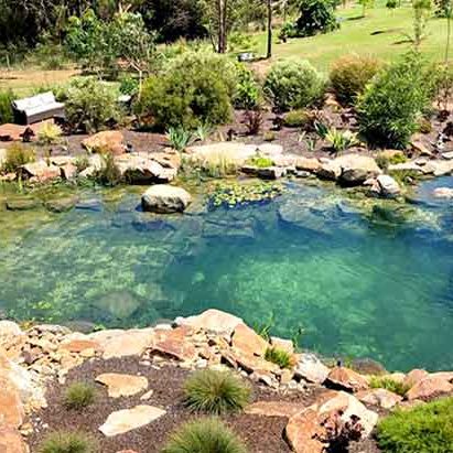 services-pool-pond